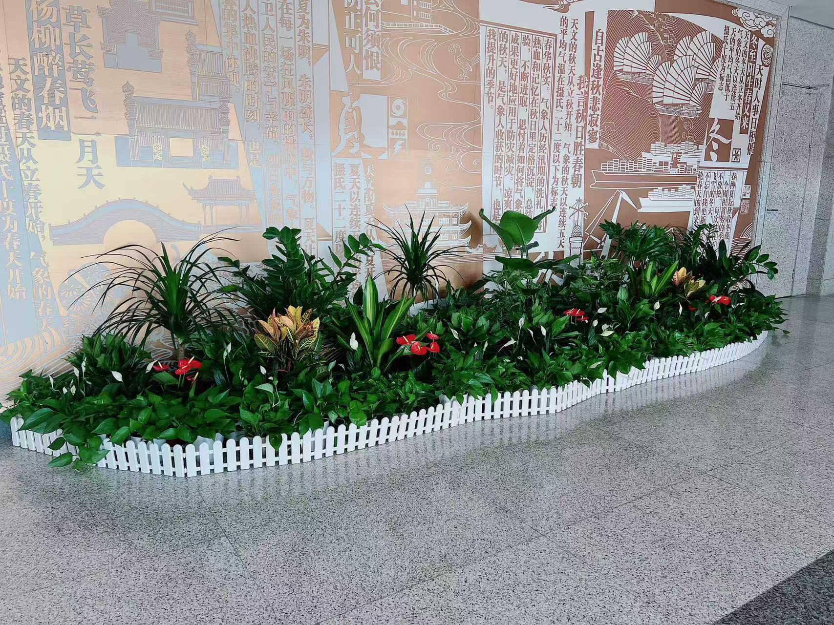 奉化花木租摆公司